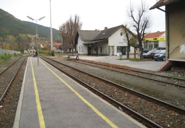 Tour Zu Fuß Gemeinde Winzendorf-Muthmannsdorf - Durch die Weinberge nach Muthmannsdorf - Photo