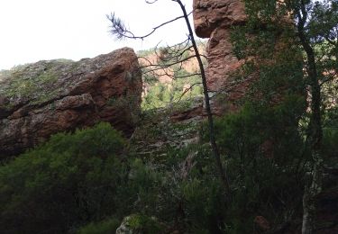 Tour Wandern Roquebrune-sur-Argens - les gorges du blavet - Photo