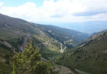 Trail Walking Err - Puig Puigmal d'err - Photo