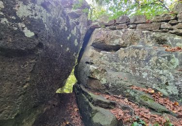 Randonnée A pied Waldbillig - W3 Hiking Tour - Photo