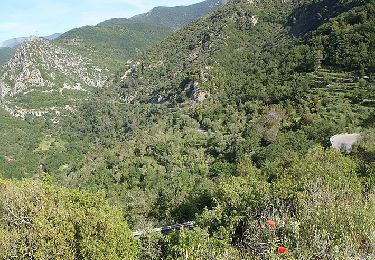 Randonnée A pied Sospel - Tour du mont Grazian - Photo