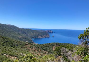 Tour Wandern Osani - Girolata Galéria 2022 - Photo