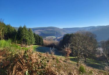 Randonnée Marche Bouillon - Rochehaut 110124 - Photo