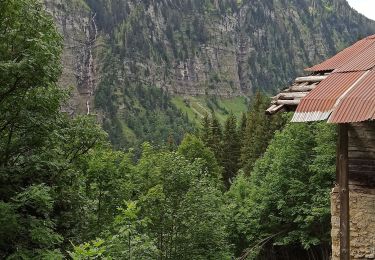 Trail Walking Montriond - 09-08-21 lac Montriond et cascade d'ardant  - Photo