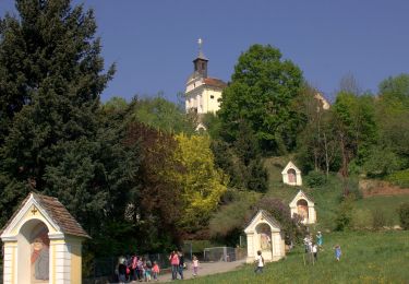 Percorso A piedi Hartberg - Hartberger Höhenweg - Photo