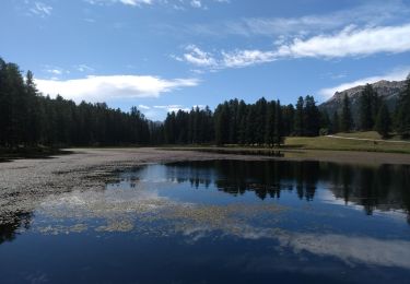 Tocht Stappen Arvieux - 15-08-09 Arvieux : lac de roue - Photo