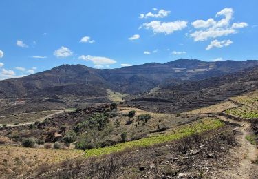 Trail Walking Banyuls-sur-Mer - banyu - Photo