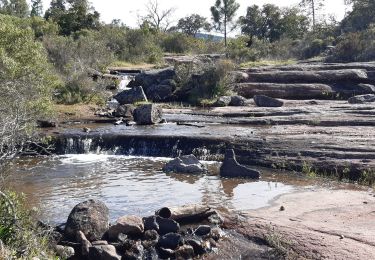 Randonnée Marche Le Cannet-des-Maures - les escarcets le 07 05 2021 - Photo