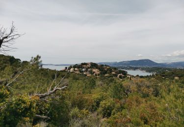 Tour Wandern Le Pradet - Oursinieres les 3 forts - Photo