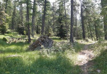 Trail Walking Crots - boucle du lac de Lauzerot via Les Gendres . cabane à Jules . clôt Besson . lac . les Gendres - Photo