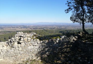 Tour Wandern Uchaux - le farjons - Photo