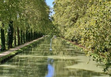 Trail Walking Moissac - moissac auvillar - Photo