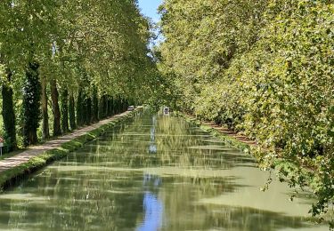 Tocht Stappen Moissac - moissac auvillar - Photo