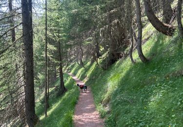 Randonnée Marche Ceillac - Ceillac Lacs Ste-Anne et Miroir - Photo