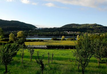 Tour Zu Fuß Tarzo - Via dell'acqua - Photo