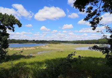 Trail Walking Logonna-Daoulas - Circuit de l'anse de Pen Foul. Logona. 06/07/20 - Photo
