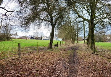 Tocht Stappen Bastenaken - Lutrebois 150224 - Photo