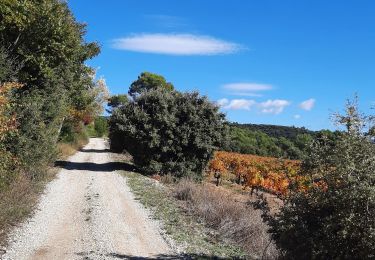 Tour Wandern Lioux - beauté gorges de vaumale lioux - Photo