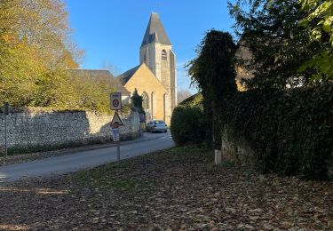 Tour Wandern Sablons sur Huisne - Condeau le. 11/11/2021 - Photo