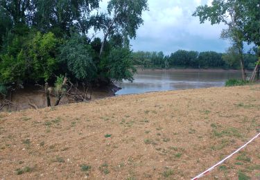 Tocht Stappen Lestiac-sur-Garonne - aze - Photo