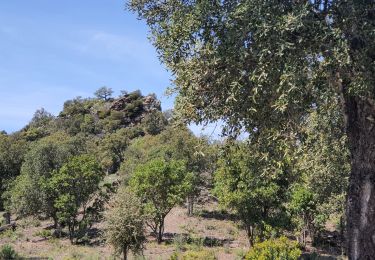 Tour Wandern Pierrefeu-du-Var - 2022-04-18 Rando TCV La Portaniere Pierrefeu - Photo