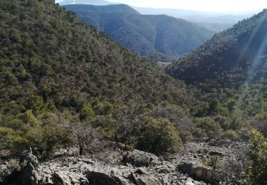 Tocht Stappen Nyons - essaillon garde grosse  - Photo