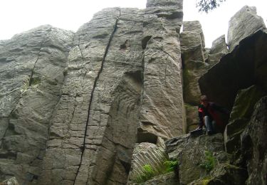 Percorso A piedi Poppenhausen - Maulkuppe - Rhönrundweg 14 - Photo