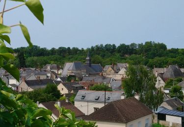 Trail Walking Vernou-sur-Brenne - Vernou-sur-Brenne - Variante Sentier Vignes et Patrimoine - 10.9km 140m 2h30 (25mn) - 2023 06 28 - Photo