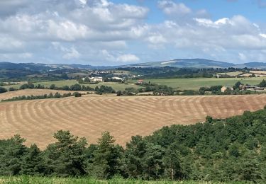 Randonnée Marche Saint-Beauzély - Azinieres - Photo