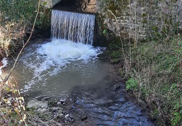 Tour Wandern Écuélin - Écuelin  - Photo