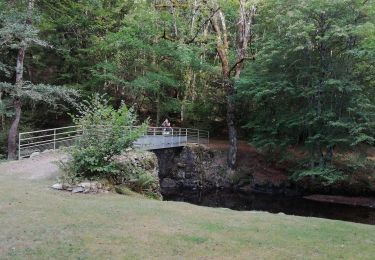 Tour Wandern Moustier-Ventadour - Fred moutier ventadour - Photo