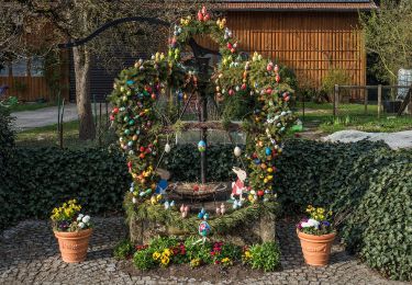 Randonnée A pied Breitengüßbach - Rundwanderweg Breitengüßbach 1 - Photo