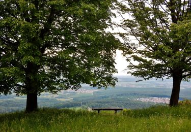 Tocht Te voet Dettingen an der Erms - blaues Dreieck Metzingen - Kohlberg - Flugplatz Hülben - HW1 - Photo