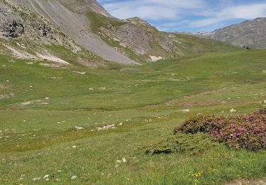 Excursión Senderismo Névache - lac de Chardonnet - Photo