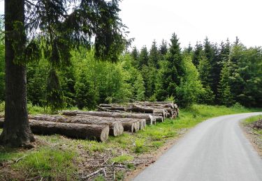 Randonnée A pied Winterberg - Silbach Rundweg Sb4 Namenlosetal-Renautal-Rundweg - Photo