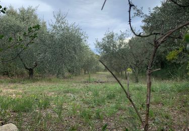 Trail Walking Saint-Bonnet-du-Gard - Pont du Gard - Photo