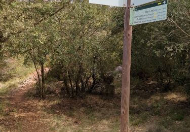 Trail Walking Colldejou - collodjou - Photo