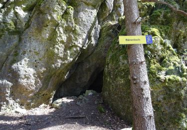 Percorso A piedi Kallmünz - Jurasteig Bärenloch-Schlaufe - Photo