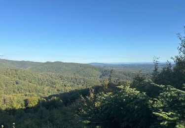 Trail Walking Ronchamp - La cabane des chasseurs  - Photo