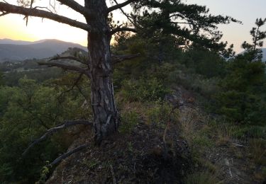 Tocht Mountainbike Digne-les-Bains - [PAT] Gaubert en nocturne - Photo