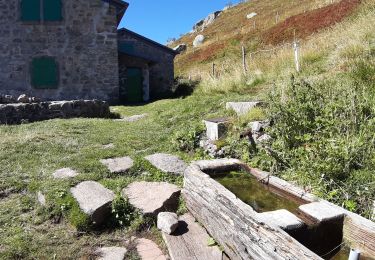 Tocht Te voet Le Valtin - Sentier des roches - Photo