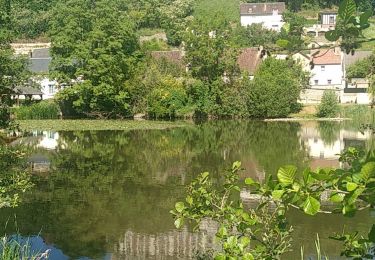 Excursión Senderismo Cloyes-les-Trois-Rivières - cloyes sur Loir  - Photo