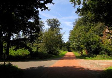 Excursión Senderismo Haramont - en forêt de Retz_79_08_2019_vers Taillefontaine et Retheuil par les lisières - Photo