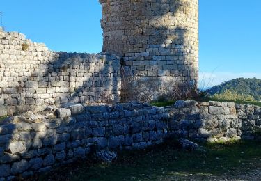 Tocht Stappen Rougiers - Castrum de Rougiers après modification N2 - Photo