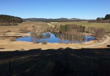 Trail On foot Lind - Booser Doppelmaartour - Photo