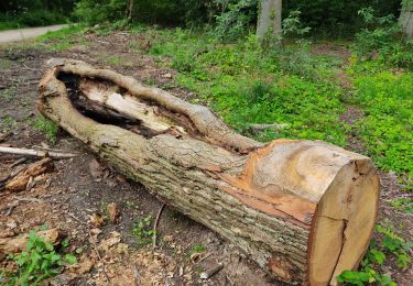 Tour Wandern Viroflay - Le plateau  de Saclay, de Viroflay à Igny - Photo