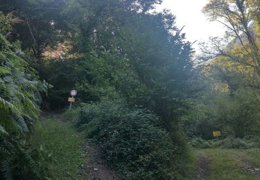 Tocht Stappen Fos - Cap des Hittes en boucle - Photo