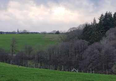 Randonnée Marche Wellin - rando fays famenne 15-01-2023 - Photo