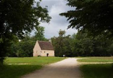 Excursión A pie Vendœuvres - La forêt de Lancosme - Photo