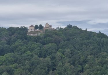 Tocht Stappen Saint-Georges-Nigremont - Le tour de Nigremont - Photo